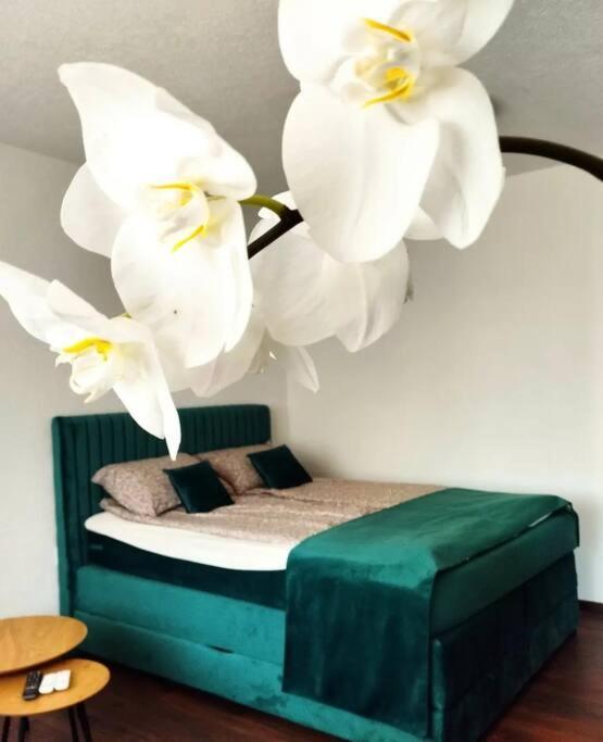 Zeid City Center Apartment ซาราเยโว ภายนอก รูปภาพ